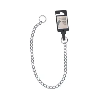 Holland Animal Care Slipketting M - Trekgedrag Bij Honden - Gedragstraining - Anti Trek Hond - Verchroomde Sliphalsband - 3 Mm X 55 Cm