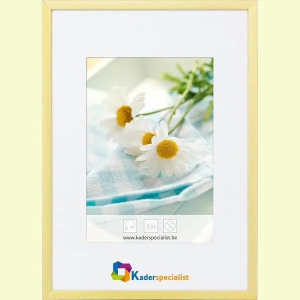 Vlakke Aluminium Wissellijst - Fotolijst - 50x50 Cm - Helder Glas - Mat Champagne - 10 Mm thumbnail