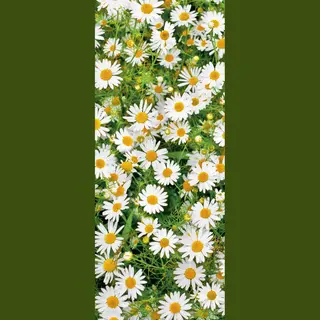 Mars & More Banner Maggy 75 Cm X 180 Cm
