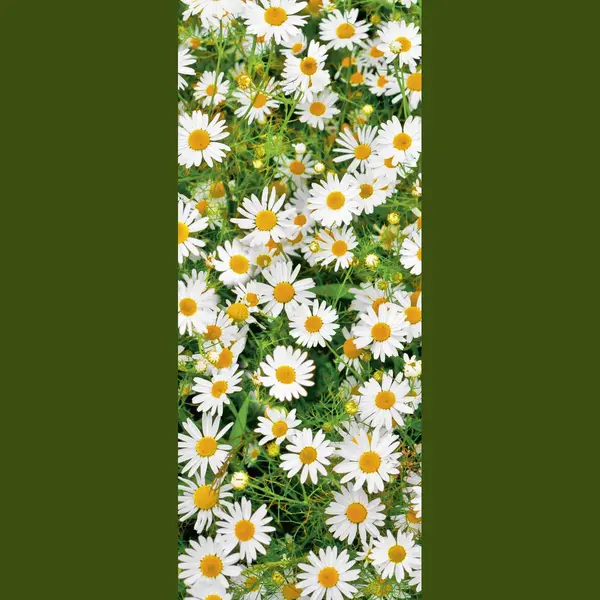 Mars & More Banner Maggy 75 Cm X 180 Cm thumbnail