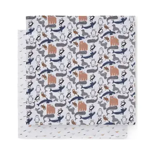 Multidoek Jollein Hydrofiel 115x115 Polar 2st