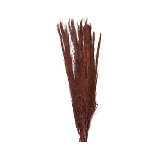 Clayre & Eef Droogbloemen 85 Cm Rood Droogbloemen