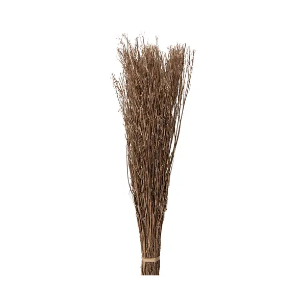 Clayre & Eef Droogbloemen 80 Cm Beige Droogbloemen thumbnail