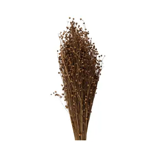 Clayre & Eef Droogbloemen 60 Cm Beige Droogbloemen