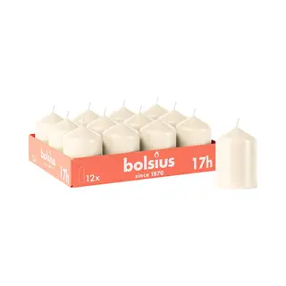 Bolsius Smooth Pillar Candles - Ivory - Pack Of 12-8 X 6 Cm - Decorative Household Candles - Burn Time 17 Hours - Unscented - Contains Natural Plant