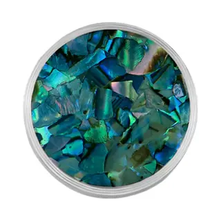 Quiges Stainless Steel Interchangeable Mini Coin 12mm Natural Tropical Blue Abalone Shell