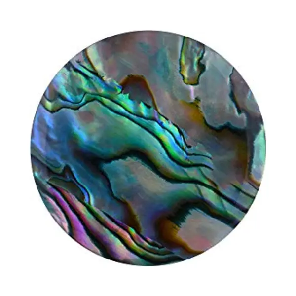 Quiges Natural Shell Small 25mm Coin Blue Abalone For Interchangeable Pendant Necklace thumbnail