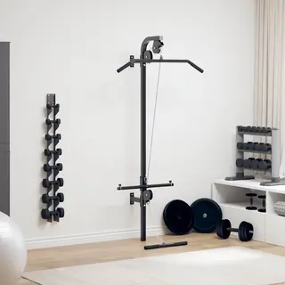 Wall-mounted Home Gym With 2 Pulleys Vidaxl