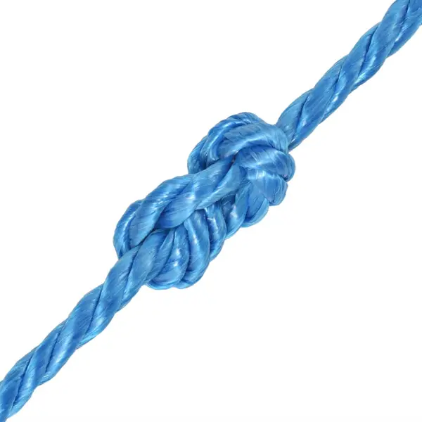 VidaXL Touw Gedraaid 6 Mm 500 M Polypropyleen Blauw thumbnail