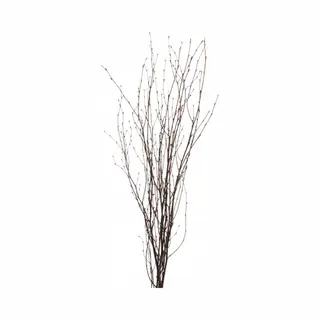 Bellatio Flowers & Plants Paastakken - Natuurlijk Hout Voor Binnen - 75 Cm