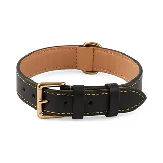 Brute Strength - Luxe Leren Halsband Hond - Zwart - Xl - (56 - 63) X 3, 5 Cm - Honden Halsband - Hondenhalsband - Halsband Hond Leer - Leren Honden
