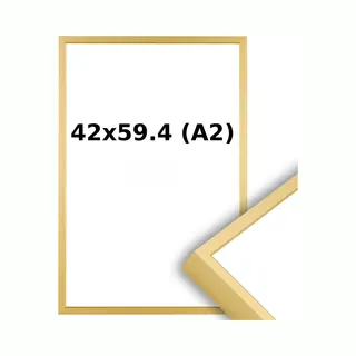 Lichtendonk Aluminium Wissellijst A2 42 X 59.4 Mat Champagne Goud - Ontspiegeld Glas - Professional