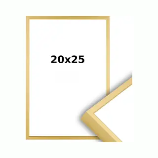 Lichtendonk Aluminium Wissellijst 20 X 25 Mat Champagne Goud - Ontspiegeld Glas - Professional