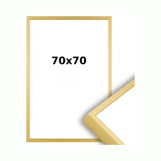 Lichtendonk Aluminium Wissellijst 70 X 70 Mat Champagne Goud - Ontspiegeld Acrylite - Professional