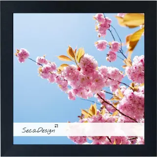 SecaDesign Anima Fotolijst Hout - Fotomaat 20x20 Cm - Zwart