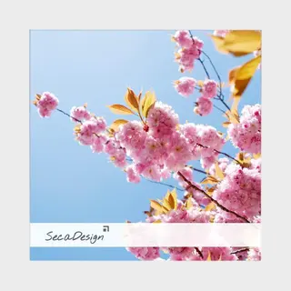 SecaDesign Anima Fotolijst Hout - Fotomaat 15x15 Cm - Wit