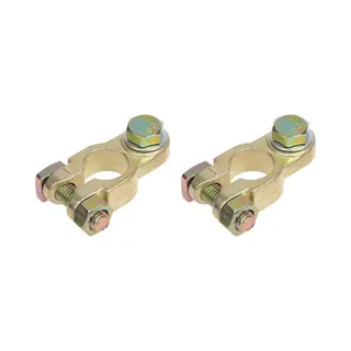 ProPlus Accupoolklemmen Set (+) En (-) Met Bout