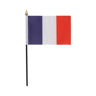 Mini Vlaggetje Frankrijk Op Stokje - 10 X 15 Cm - Polyester - Landen Vlag
