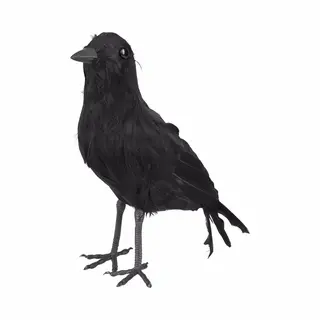 Boland Zwarte Decoratie Kraai Of Raaf - 23 Cm - Halloween Horror Thema Versiering Dieren - Vogelverschrikker