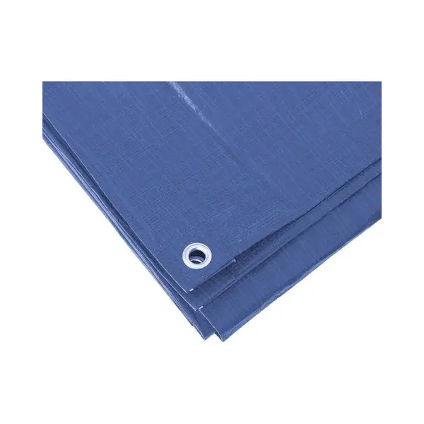 Benson Blauw Afdekzeil / Dekzeil - 2 X 3 Meter - Polypropyleen Grondzeil / Dekkleed thumbnail