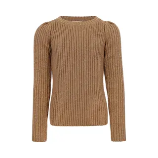 Looxs Revolution Looxs 10sixteen 2533-5383-825 Meisjes Seizoen > Fw25 - Maat 152 - Veelkleurig Van 80% Viscose 20% Lurex