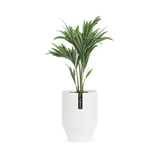 Fox & Fern Fox&Fern Übertopf M - Extra Grosser Blumentopf Inkl. Wasserabfluss - Blumentopf Hoch 35cm - Übertöpfe Für Zimmerpflanzen - Pflanzentopf Groß Auch
