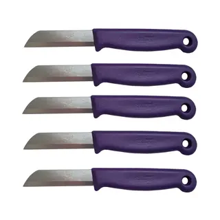 Solingen Schilmesje – Rvs Glad – 16 Cm Met Blade Cover – Paars – 5 Stuks