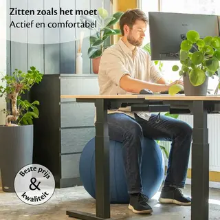 Bckz Sitzball Leinen - Mit Bezug - 65 Cm - Balance Hocker - Luxus Yoga Ball - Ergonomisch - Grün Blau