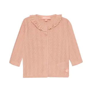 4PRESIDENT Sweater Meisjes - Pink - Maat 74 - Meisjes Trui