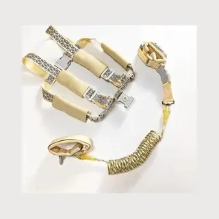 Moments 2 In 1 Hiking Harness – Gold Coloured - Baby Harness And Wrist Harness With Lock - Glow In The Dark