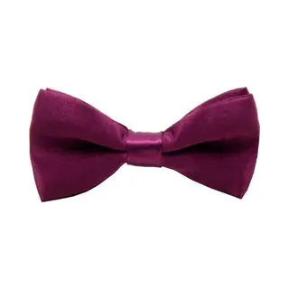 Fako Fashion - Kinder Vlinderstrik - Vlinderdas - Kinderstrik - Strik - Effen - 10cm - Aubergine