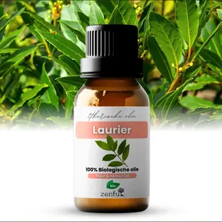Zenful Laurierolie - Blad - Laurus Nobilis - 100% Puur & Biologisch - 5 Ml