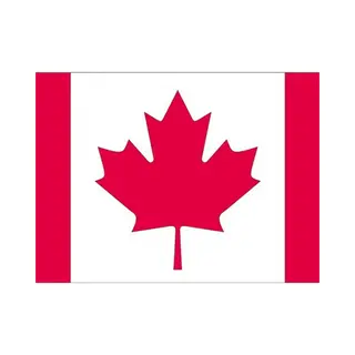 Bellatio Decorations 10x Binnen En Buiten Stickers Canada 10 Cm - Canadese Vlag Stickers - Supporter Feestartikelen - Landen Decoratie En Versieringen
