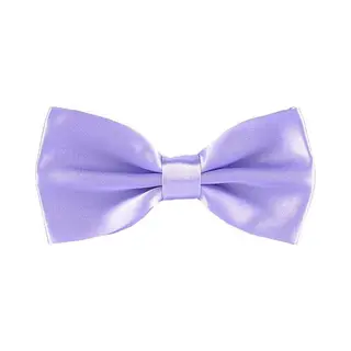 Fako Fashion - Vlinderstrik - Vlinderdas - Strik - Satijn - Voorgestrikt - 12.5cm - Lila Paars