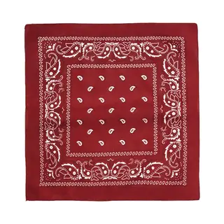 Fako Fashion - Bandana - Hoofddoek - Mondbescherming - Zakdoek - Sjaal - Paisley - Bordeaux Rood