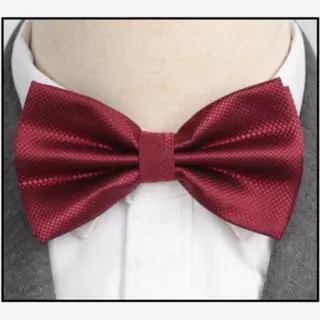 Vlinderdas | Vlinder Strik | Bow Tie | Voor Volwassenen | Voorgestrikt | Strik | Geruit | Rood