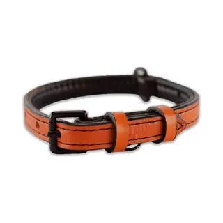Brute Strength - Luxe Leren Halsband Hond - Oranje - S - (26 - 33 Cm) X 1, 5cm - Honden Halsband - Hondenhalsband - Halsband Hond Leer - Leren Honden