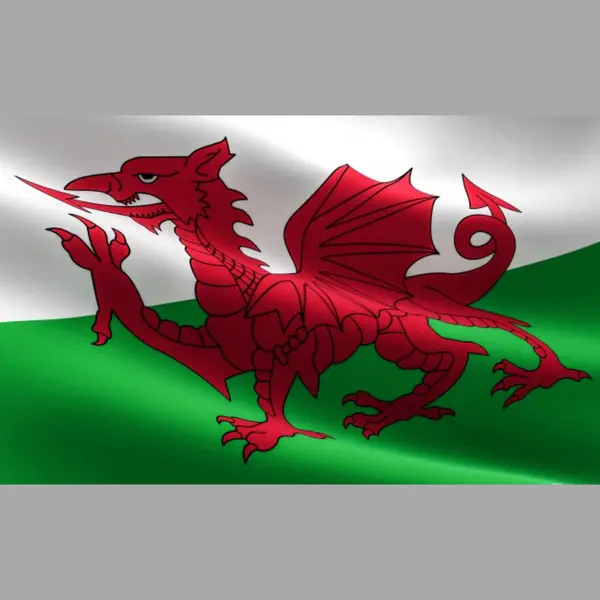 New Age Devi - Wales Vlag 90x150cm - Originele Kleuren - Sterke Kwaliteit - Met Bevestigingsringen - Welse Vlag thumbnail