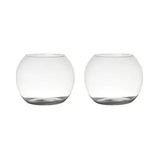 Hakbijl Glass Bloemenvaas - 2x Stuks - Glas - D25 X H20 Cm - Bolvormige - Vaas