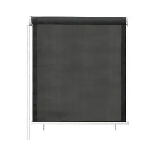 Outdoor Roller Blind 60x140 Cm Anthracite Vidaxl