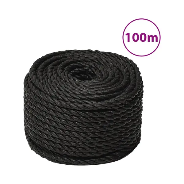 VidaXL Werktouw 10 Mm 100 M Polypropeen Zwart thumbnail