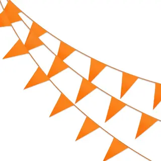 Q2P - Slingers - Verjaardag - Versiering - Vlaggenlijn - Vlaggetjes - Feest - Koningsdag- Ek - Wk - Slinger - Oranje