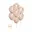 Rose Goud