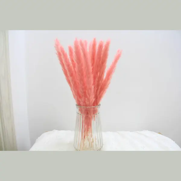 Without Lemons - Pampas Pluimen – Natuurlijke Tint - 15 Stuks – Pampas Gras – 70 Cm – Droogbloemen – Cortaderia – Droogbloemen Boeket – thumbnail