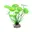 Ronde groene bladeren