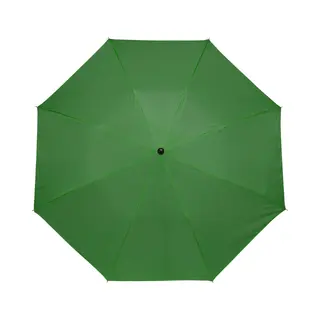 Kleine Opvouwbare/inklapbare Paraplu Groen 93 Cm Diameter - Regenbescherming