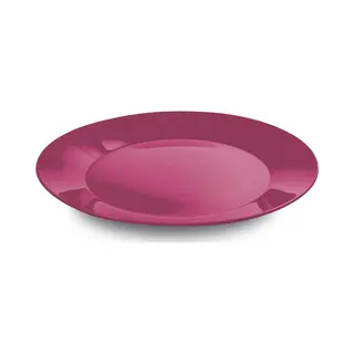 Hega Hogar Ontbijtbordjes - 3x St - Roze - 21 Cm - Hard Kunststof - Dinerborden - Camping Bordjes - Outdoor Servies Picknick/verjaardag