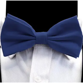 Sorprese Vlinderdas - 100% Zijden - Royal Blue - Luxe En Chique Vlinderstrik - Volwassenen - Waterafstotend - Cadeau