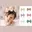 6 Stuks - Roze Beige Wit Grijs