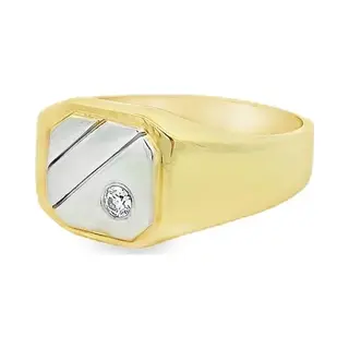 Juwelier Zwartevalk 14 Karaat Gouden Bicolor Zegelring Met Zirkonia - 141353